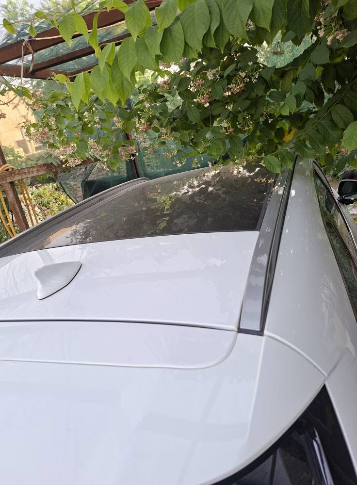 كيا سورينتو موديل 2024 فئة 4X فول مواصفات للاخير 1/1 السيارة كفاله عامه رقم قادسيه باسمي
رقم قادسيه ماشية 13 الف
كفالة عامه
سقف بانوراما وفتحت سقف
فور ويل 4X4
كامرات 360 درجه
كير ماوس
محرك 6
حساسات 360 درجه
نقاط عمياء
كشنات جلد
كشنات تدفئة وتبريد ❄️ 
كشنات كهربائيه 
توقف ذاتي 
4 انضمه قيادة ( ايكو - نورمال - سبورت - سمارت )
كامرة مع الاشارة
ويل 19
صندوق كهربائي وشفط 
تشغيل عن بعد
تبريد 3 قطع
تبريد لمس 
شفتات استيرن
مانع انزلاق
سايد بريك بصمه
اناره داخليه متغيرة مع نضام القيادة
بردات خلفيه
مكان السيارة الديوانية
330 $
*********** ديوانية, القادسية
