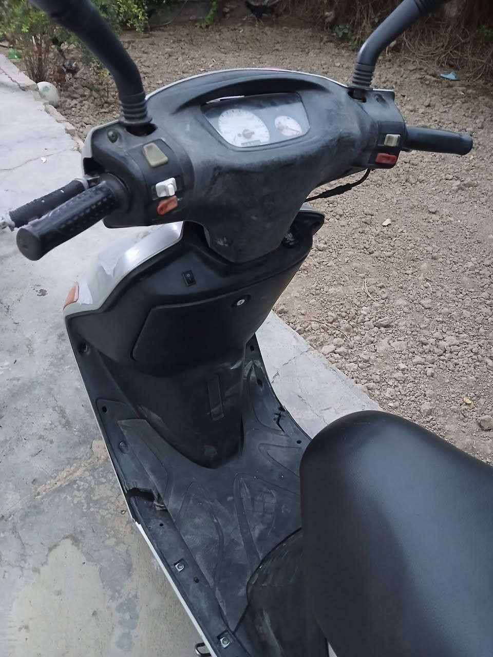 فراشة • سلف • هندل