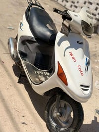 فراشة • فحل • مامافتوحه