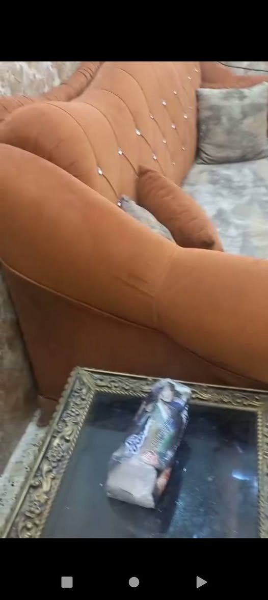 سبع قصور • ابو جلد نمر • مشمشي