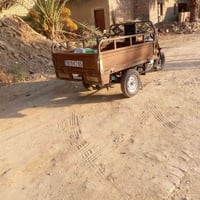 ستوته • موديل ١٥ • أوراق أصولي