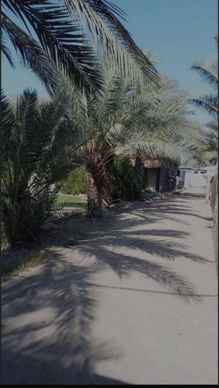 قضاء المحمودية • ١١٥٠م • دار ٢٠٠م