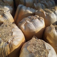 تبن • علف حيوانات • جديد