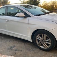 النترا • ٢٠١٩ • رقم اربيل