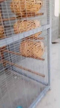 قفص • جديد • كامل