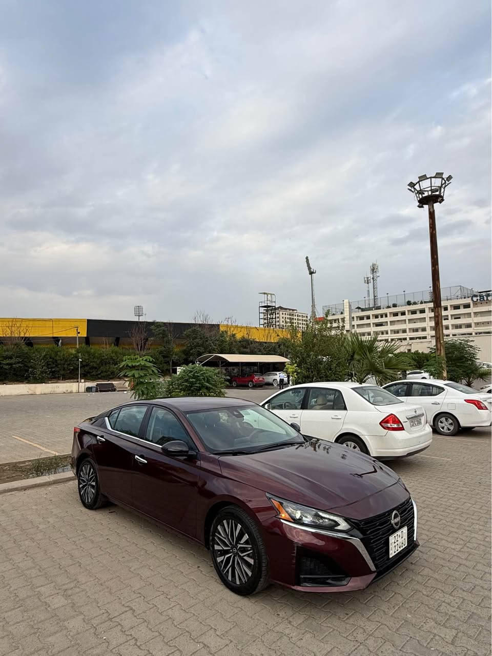 التيما SV • ٢٠٢٥ • رقم اربيل