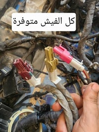 فيش • اسعار مناسبة • توصيل كل العراق