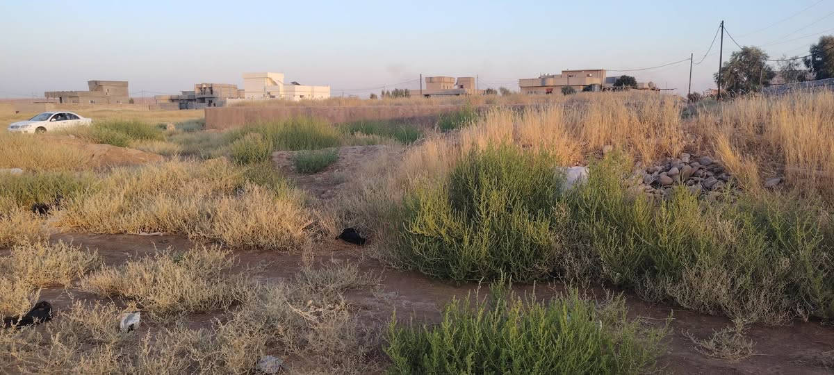 قطعة أرض للبيع قرب السيطرة الشمالية على جهة اليمين
خلف معرض الشرق الأوسط للسيارات ٣٥٠ متر (٣٥*١٠)
مطلاع شمس جيران ذهب أتصل على
***********

