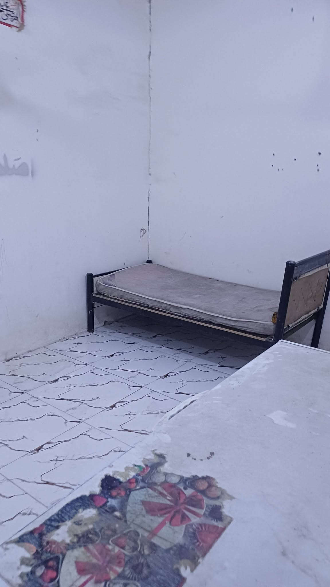 بيت للإيجار • حيانية • شارع لقاد