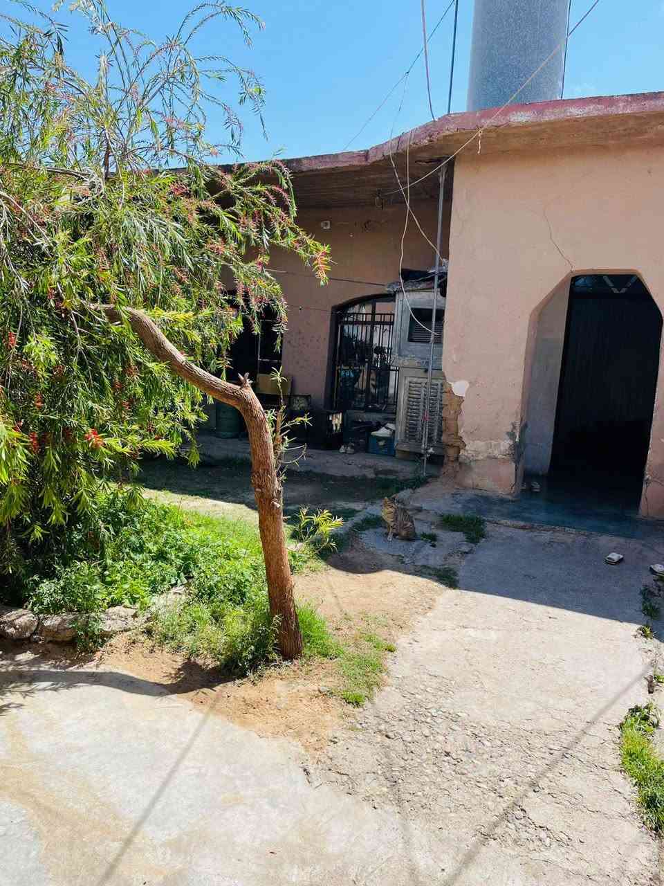 #اعلان
بيت للبيع في حي الشعب مجاور ابتدائية الزاب و المحكمة يم السوك يعني ماتحتار 

يتكون من  ٣ غرف داخلية 

ربعة خارجية 7 × 4

غرفه خارجية مع صحيات شغل حديث

بيت محوش كامل و جاهز

شراي يتصل ***********

