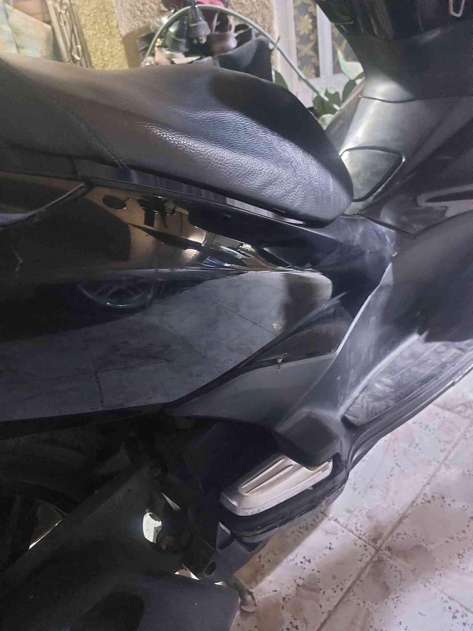 بي سي اکس • ٢٠١٤ • ماشية ١٦