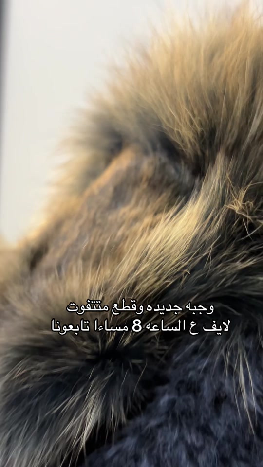 وجبه جديده • قطع • لايف ٨م