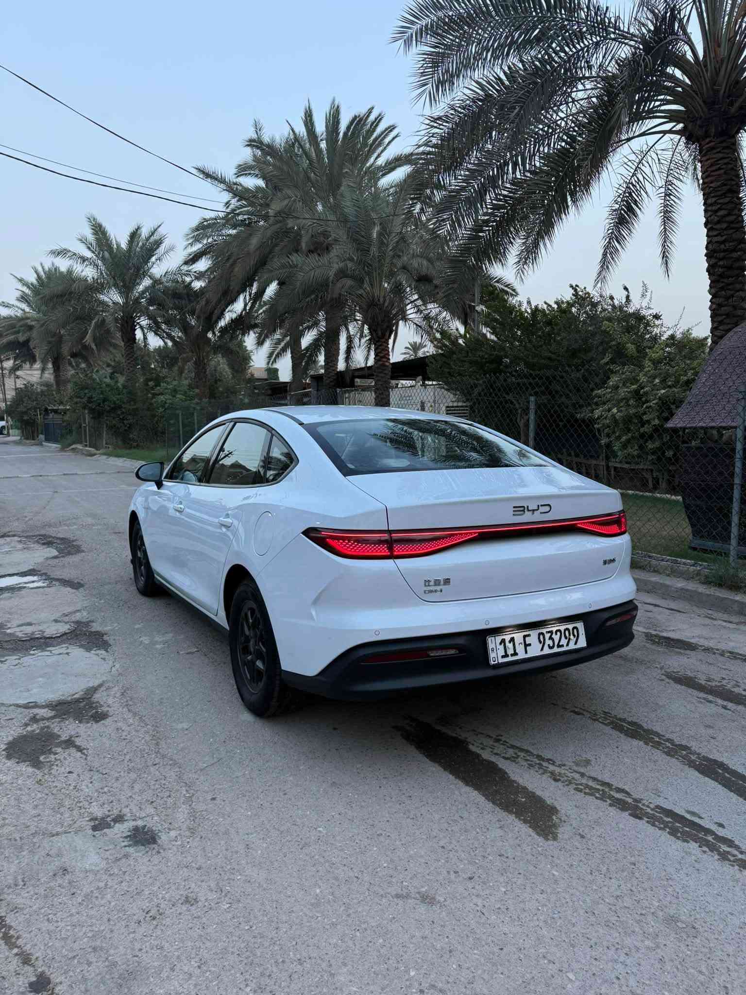 بي واي دي سيل 5 • ٢٠٢٥ • شاشة يوتيوب