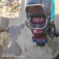 ماكس بواليسي • نوزل • كفاله عامه