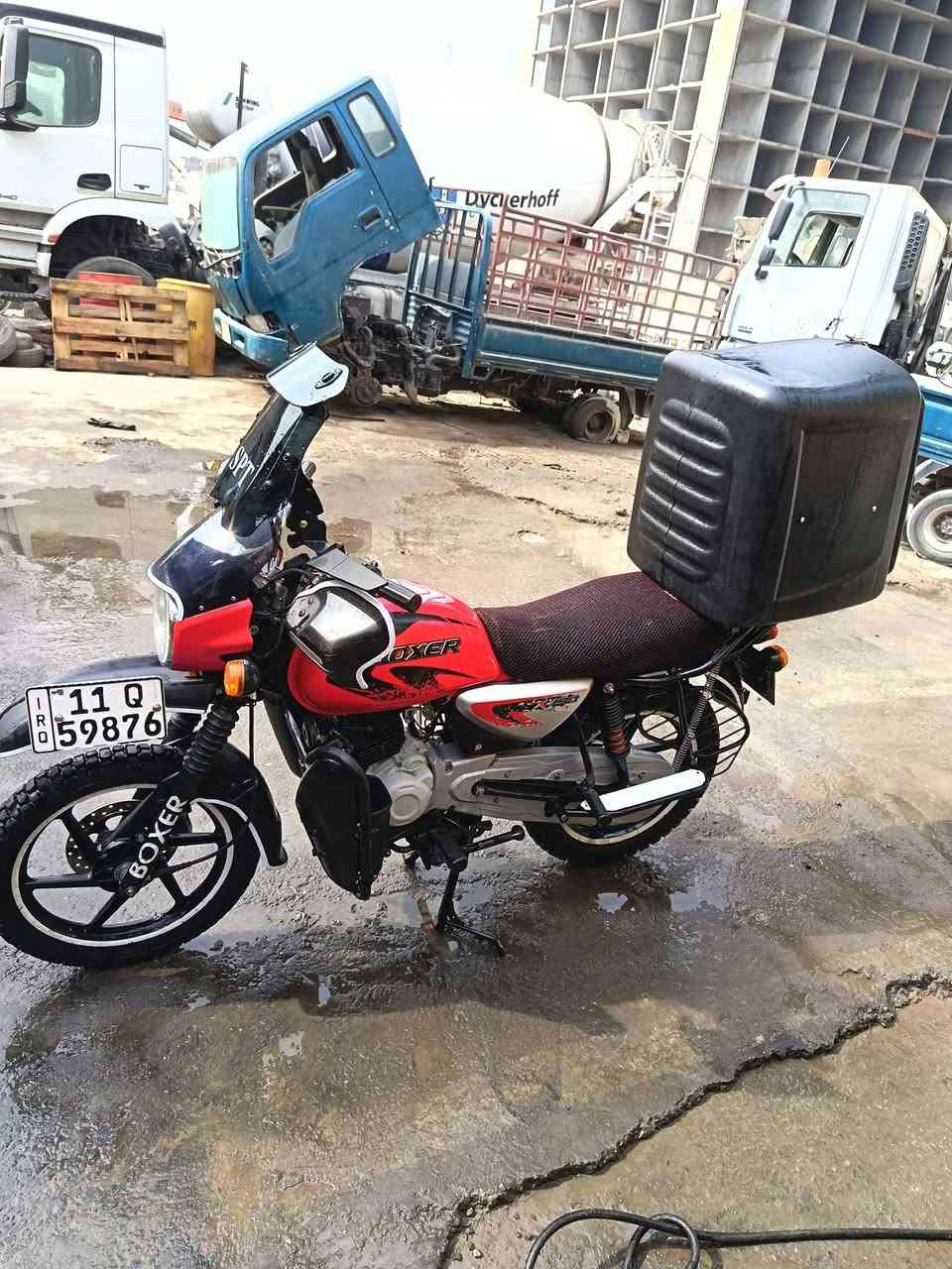 بوكسر جبلي • ٢٠٢٢ • كفاله