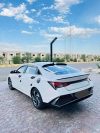 النترا ٢٠٢٤ • رقم اربيل • مشي ٣٥٠٠٠