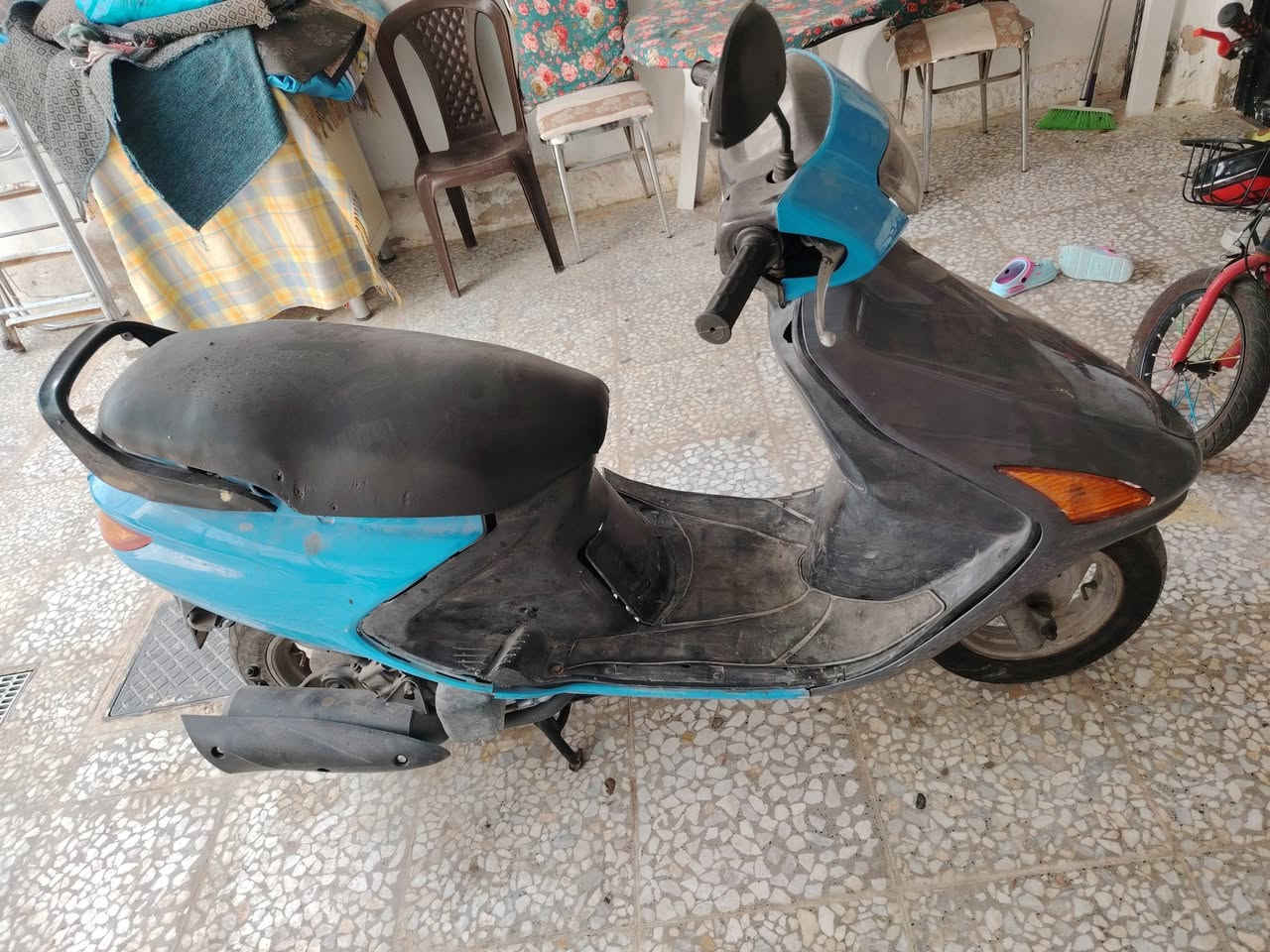 فراشة • جاهزه • ماعايزه