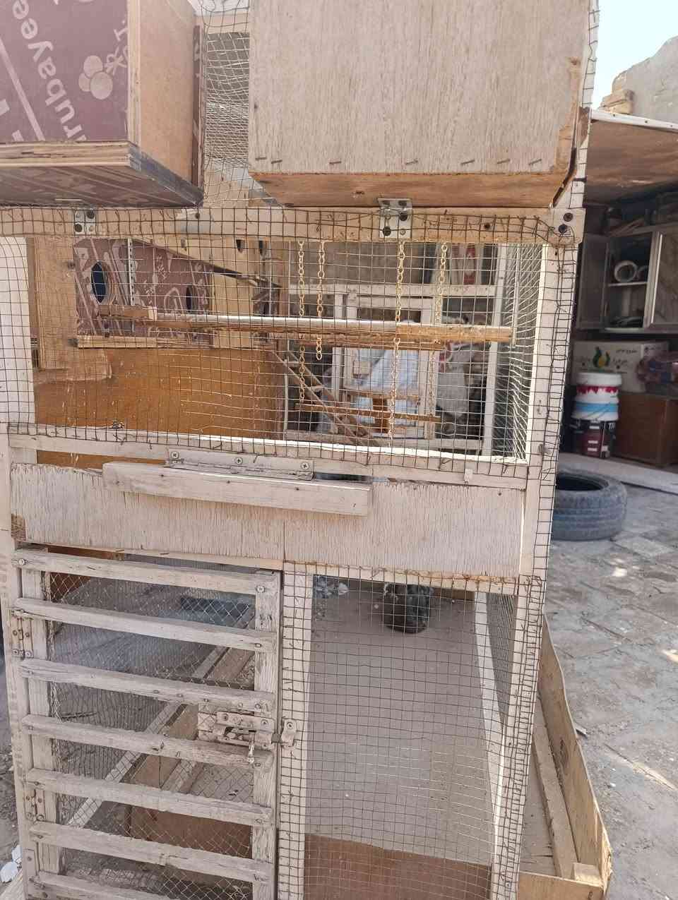 قفص • ارتفاع١٢٠ • عرض١٢٠