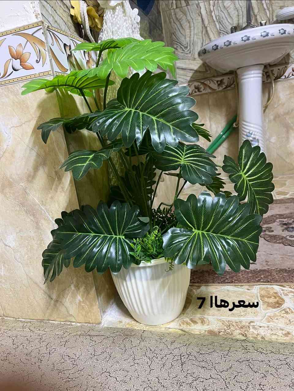 اغراض منزلية • للبيع • متنوع