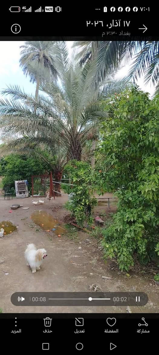 دونم وبيت للبيع الزعفرانيه شارع معمل بيبسي مخدون ومزروع شاطيه *********** السعر 210مليون
