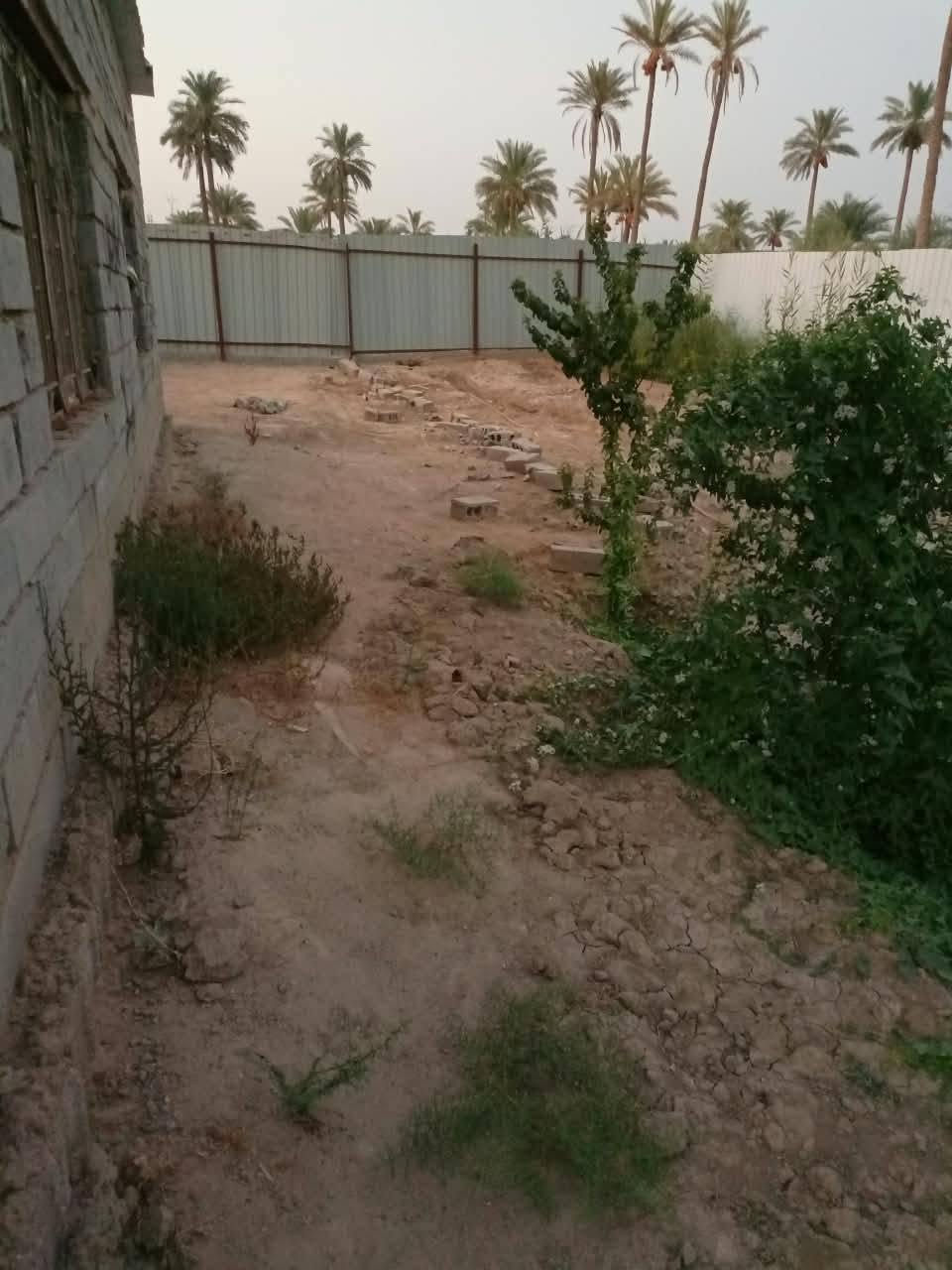 مسيجة • طابو زراعي سند ٢٥ • ٢٥٠٠م٢