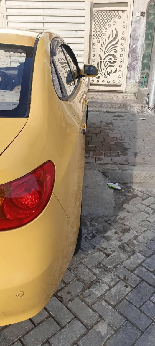 الانترا • ٢٠٠٩ • لوحات جديدة