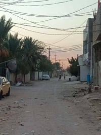 شبانات بزل • ١٠٠م • مباشر