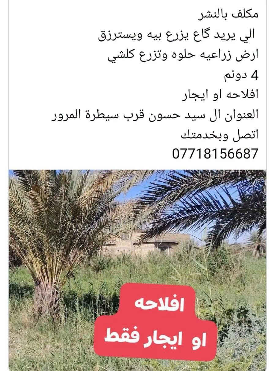 ارض زراعية • ٤ دونم • ال سيد حسون