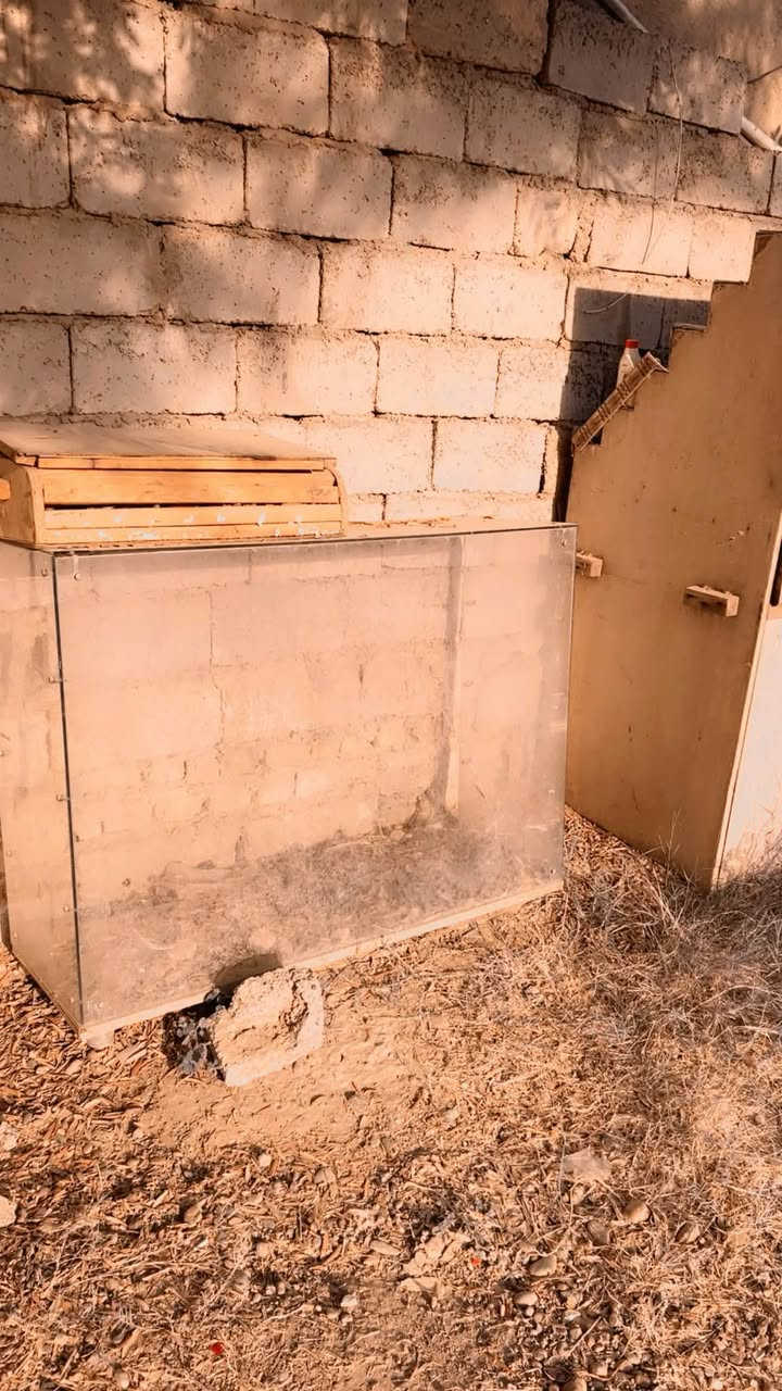 من رخصه الأدمن عندي مجموعه غراض للبيع ( عربانه عصاير ، لعابات لعرض الملابس ، كابينات تفيد جماعه الموبايلات والكوزمتك ، ميز عطور عدد 4 للاستفسار : *********** / ***********
