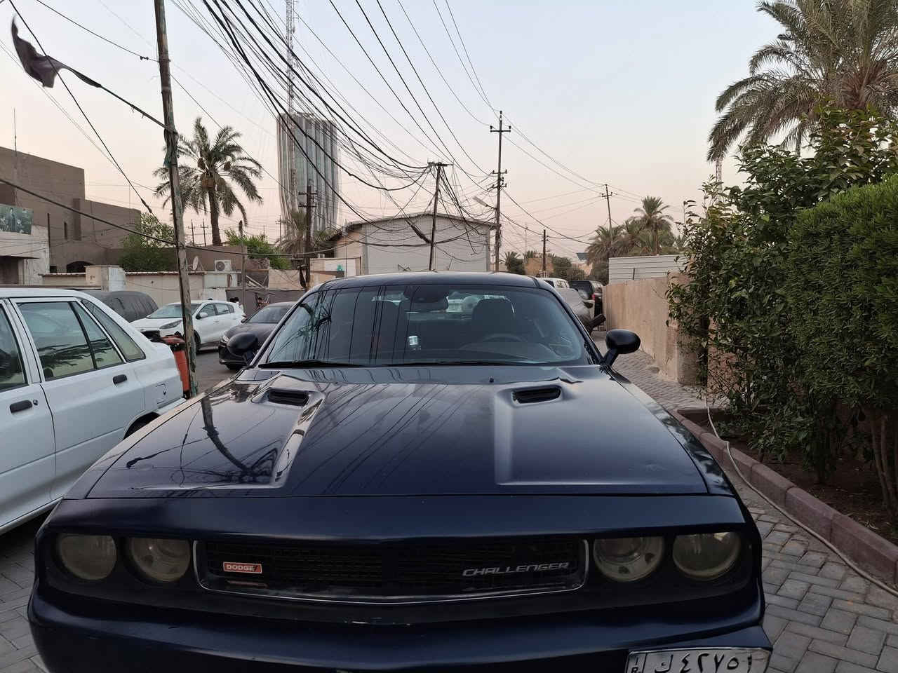 للبيع تشالنجر موديل ٢٠١٣ السيارة ماشية ١٤١ الف بيها نص جاملغ الامامي الايمن ونص جاملغ الامامي الايسر وبيها نص جاملغ خلفي جهة السائق 
دهن الكير مبدل هو والفلتر جديد قبل اشهر امزويل عند الحسام 
عبوة فيول بمب جديدة عبوة مساعد جديدة ادامة كاملة مي راديتر  احمر اصلي صدر جديد كامل امامي خلفي مع اللوي  والدبلات بدلته قبل ٥ اشهر عليها سقف رولز رايز سعر المنظومة ٢٥٠ الف السونار مالها  موجود والصور كدامك السنوية ساقطة تاخذ فلوسها مني لان المعالمة ماشي بيها والهزة موجودة و اني بالخدمة اذا عندك مرواس بكورلا وارد امريكي هايبرد انطيك فرق جاهز 
السعر ١١٠ 
رقمي ***********
