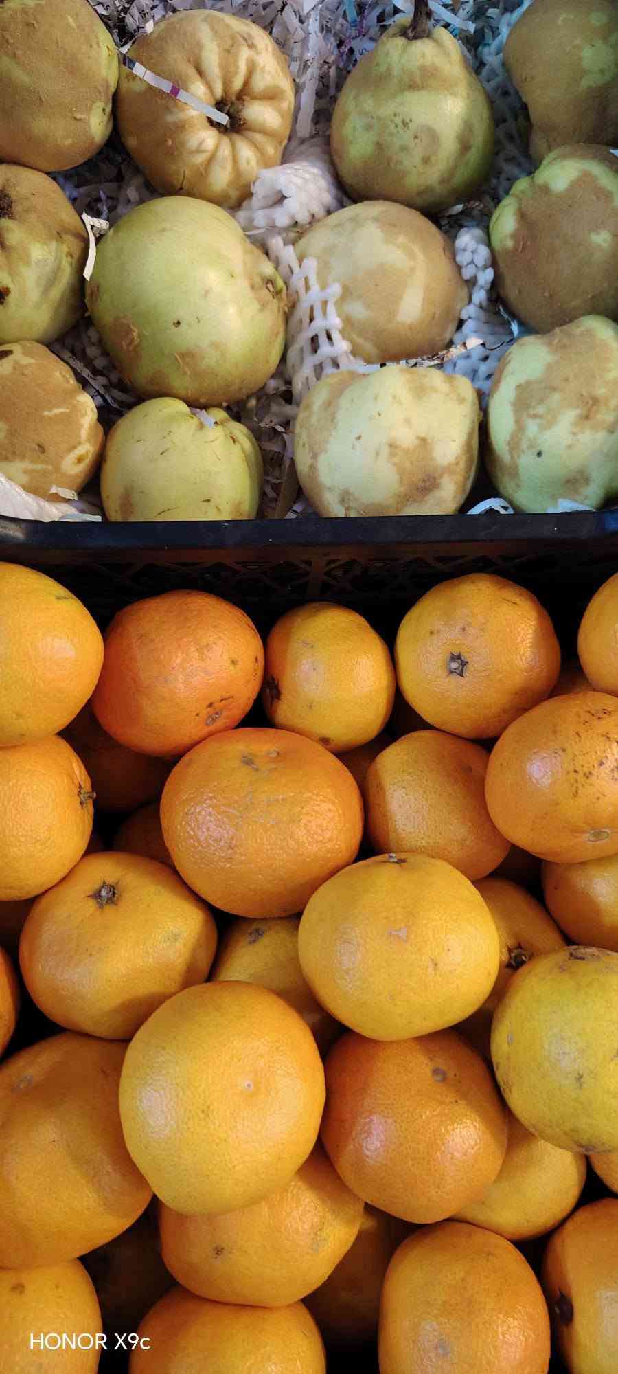 خضرة وفواكه • طازج • تشكيلة واسعة