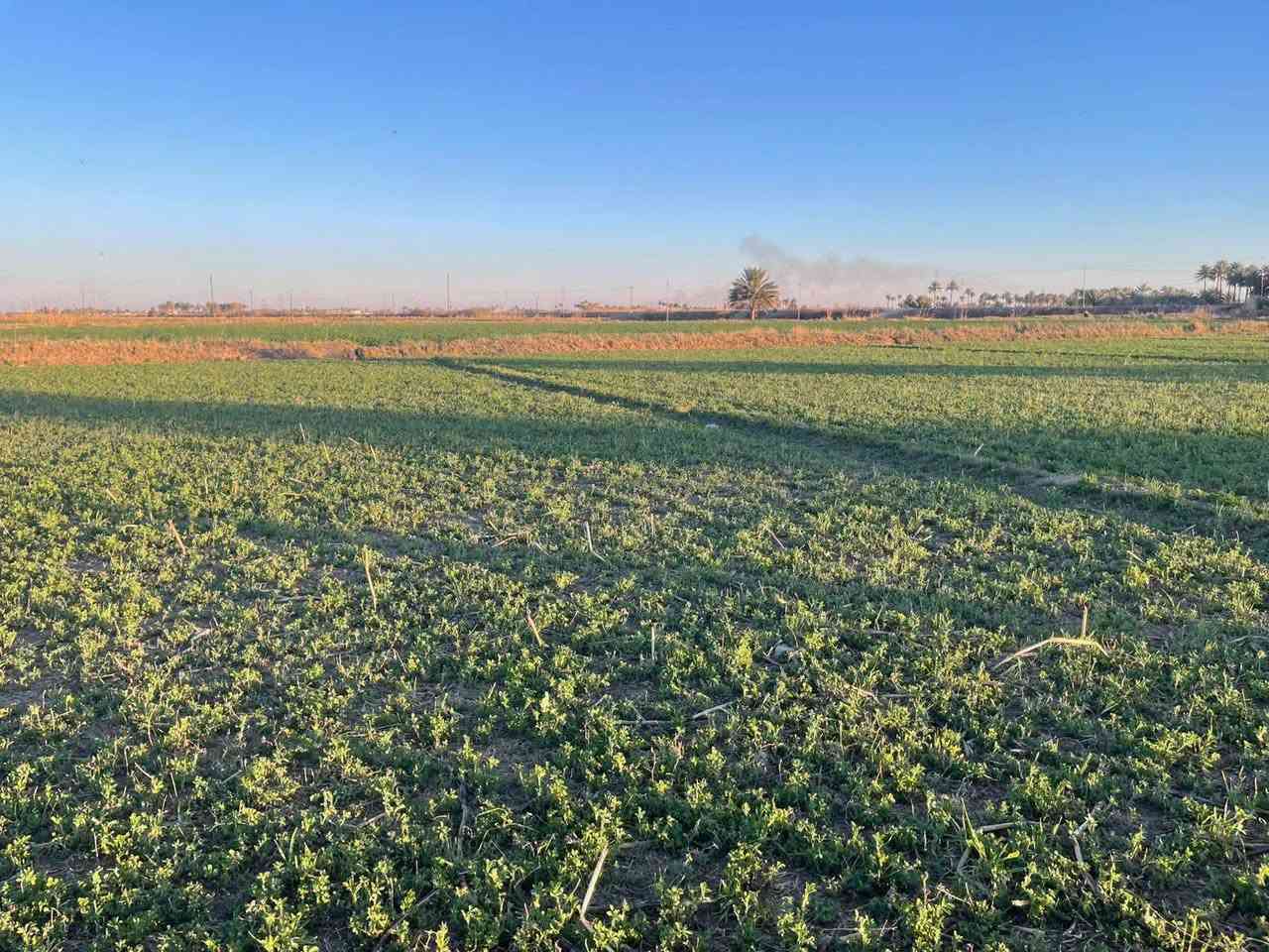 🌊 قطعة أرض شاطئية مميزة للبيع | فرصة استثمارية نادرة 🌿

📍 الموقع: الرمادي – ناحية اليرموك – بالقرب من جسر الشيخ علي حاتم
📐 المساحة: خمسة دونم أو أقل، وتُحسب المساحة الفعلية عند البيع.

📜 طابو زراعي سند ٢٥ – تحويل مباشر ✅

⭐ مميزات الموقع:
🔹 تقع الأرض بين السدة ونهر الفرات
🔹 واجهة مميزة على السدة بطول ٣٢ متر
🔹 واجهة ثانية مباشرة على النهر بطول ٤١ متر
🔹 موقع جغرافي مميز وخصوصية عالية
🔹 مناسبة للزراعة والاستثمار والسكن
🔹 تصلح لإنشاء مزرعة، استراحة، منتجع، مشروع سياحي أو أي مشروع استثماري مناسب للموقع
🔹 متوفر الماء والكهرباء والتبليط
يوجد طريق نازل من السده إلى نهر الفرات خارج حدود الأرض 
💰 السعر والاستفسار:
📞 *********** — واتساب
📞 *********** — واتساب

📩 أو مراسلة الصفحة في أي وقت.

🙏 نعتذر عن التأخير عن الرد في بعض الأحيان، ونقدّر تفهّمكم.

🏠 مكتب عدنان العسافي للخدمات العقارية
📍 نستقبل جميع العروض العقارية في مدينة الرمادي.

أبو أحمد

#أرض_للبيع #أراضي_للبيع #أرض_شاطئية #أرض_على_النهر #نهر_الفرات #السدة #الرمادي #ناحية_اليرموك #زنگورة #عقارات_الرمادي #عقارات_الانبار #عقارات_العراق #أراضي_زراعية #طابو_زراعي #سند_25 #تحويل_مباشر #استثمار_عقاري #مشروع_استثماري #استثمار #مزرعة #مزرعة_للبيع #استراحة #مشروع_سياحي #سكن #بيت_العمر #عروض_عقارية #مكتب_عقاري #الخدمات_العقارية #عقارات #عقار #الانبار #مدينة_الرمادي #نهر_الفرات_الرماديإ
