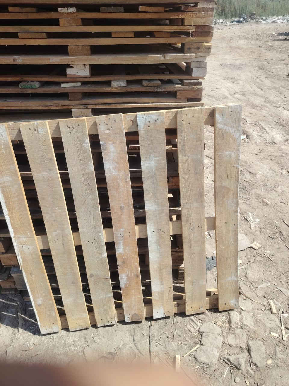 سلام عليكم القياس 115في115السعر 3500
العدد 400مكان دوانيه السريع ***********
مطروح
