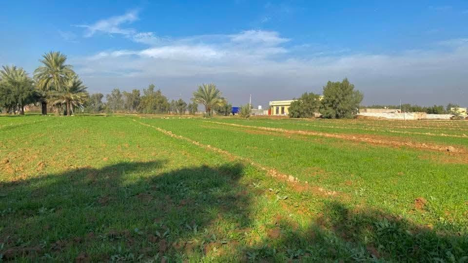 بسم الله 
ارض زراعيه للبيع المساحه 3 دوانم 
طابو زراعي سند 25  ثاني يوم افتحلك بيان 
واجهة الدونم الواحد 45 متر النزال 55 متر 
خدمات كامله  ماء اساله وسقي وكهرباء وتبليط 
مجاور سوق الشيخ عامر تبعد عن دوار 20 دقيقه 
السعر للدونم 30 مليون قابل للتفاوض بغداد التاجي منطقة الشيخ عامر مقابيل سبع البور 
للاتصال والاستفسار يتوفر واتساب
*********** متوفر واتساب
