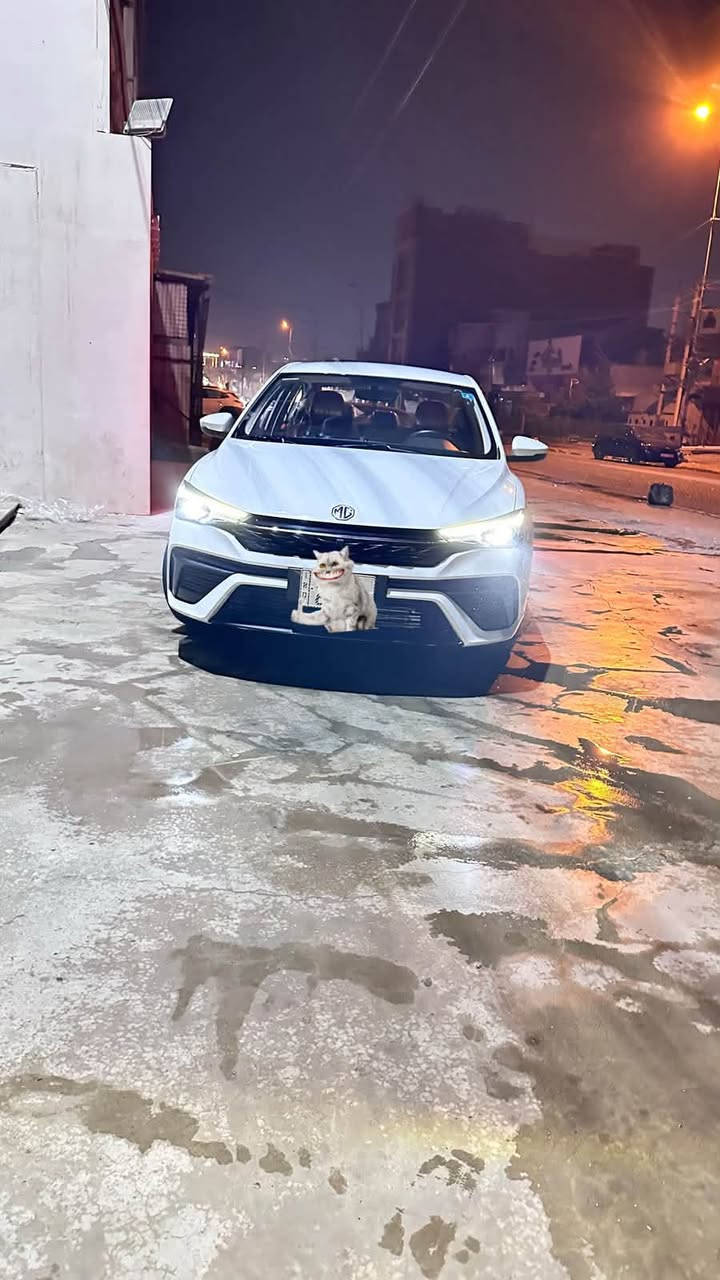 ام جي فايف • ٢٠٢٥ • ماشي ٥٠٠٠ كم
