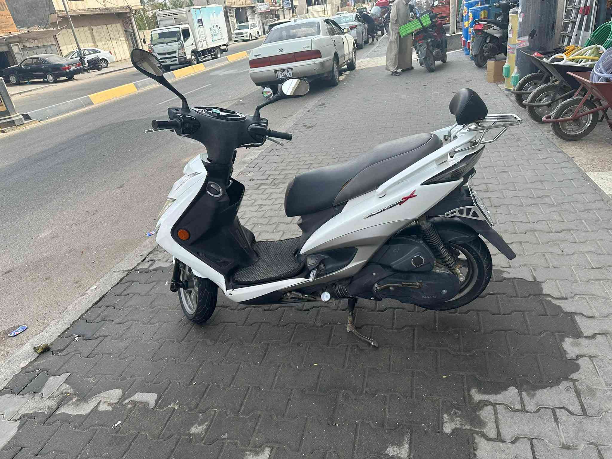 سكنس • ياباني • مكفوله