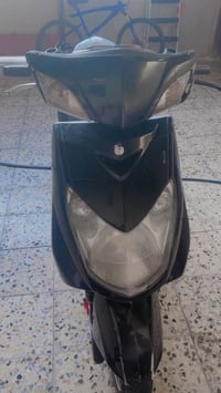 سكنس فحل • ياباني • بلادية