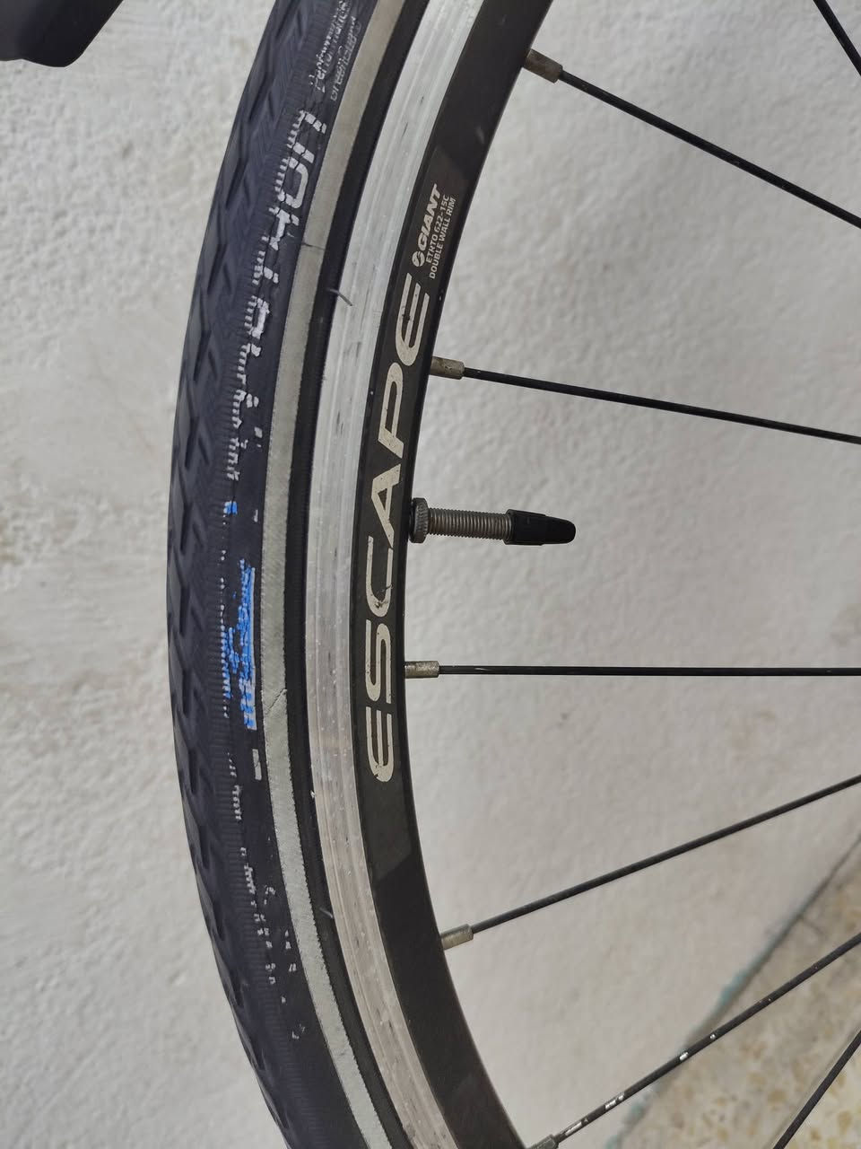 جاينت اسكيب • فريم M 50 • تايرات 28