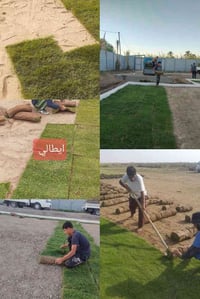 ثيل طبيعي • نعومه • توصيل مجاني