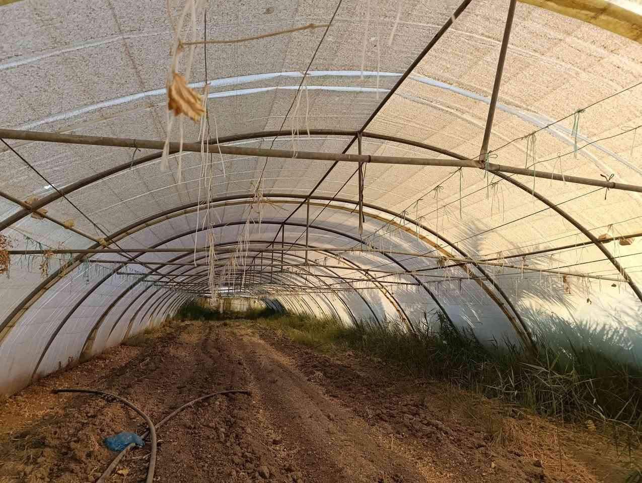 للبيع بيوت 2 اردني  ومريكي لايلون نضيف 56 متر 
المكان بابل مشروع المسيب 
***********

