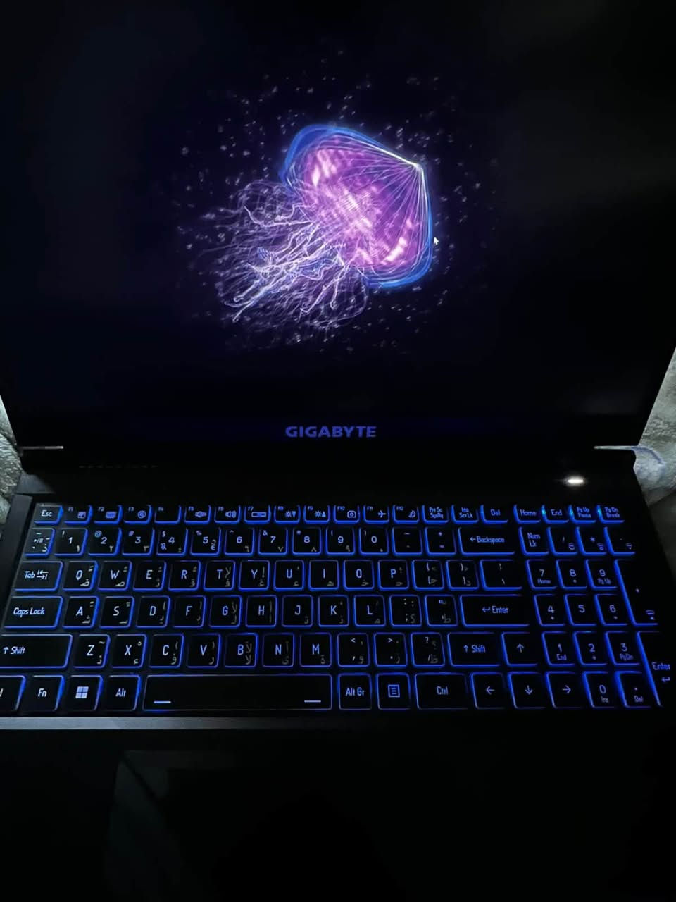 GIGABYTE لابتوب من شركة
RTX 4060 g8 
DDR5 2*8
M.2 Gen4 512g
17_12650H
لابتوب كامل ملحقاته الأصليه ما متعوب نظيف موجوده شاحن +كارتون + مبرد هوائي كيمنك
السعر 1،350،000 وبي مجال للشراي

***********
