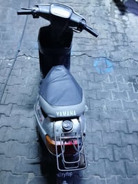 بطة • نضيفه • سلف