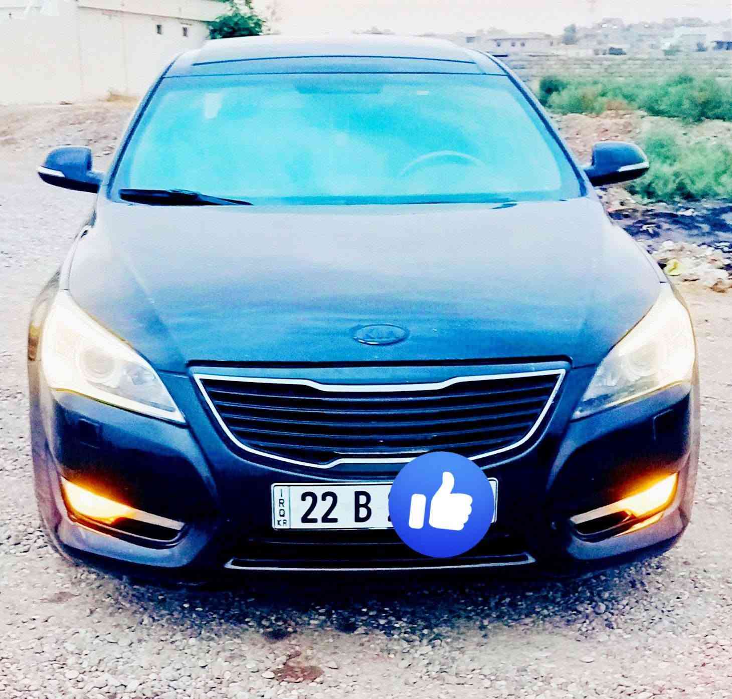 كادينزا • ٢٠١١ • اربيل دولي