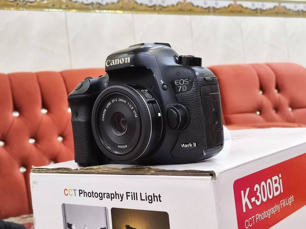 كانون 7D Mark II • عدسة ٢٤مم f/2.8 • نظافة ٩٠٪