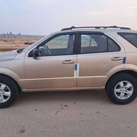 ٢٠٠٧ • وارد امريكي • ضربة يمين