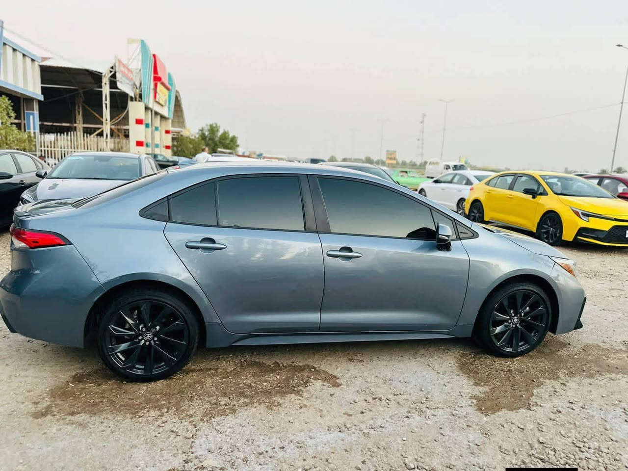 ياالله كورلا موديل 2024 امريكي 
حره منفيس بسمي بدون رقم تترقم جميع المحافظات 
الضرر بنيد تبديل فقط بدون عابر شاصي لغد كفاله 
مواصفات واضحه مكينه 2000 
اي تفاصيل واتساب ***********
السماوة الرميثه شارع عام معرض احمد ال شمران
