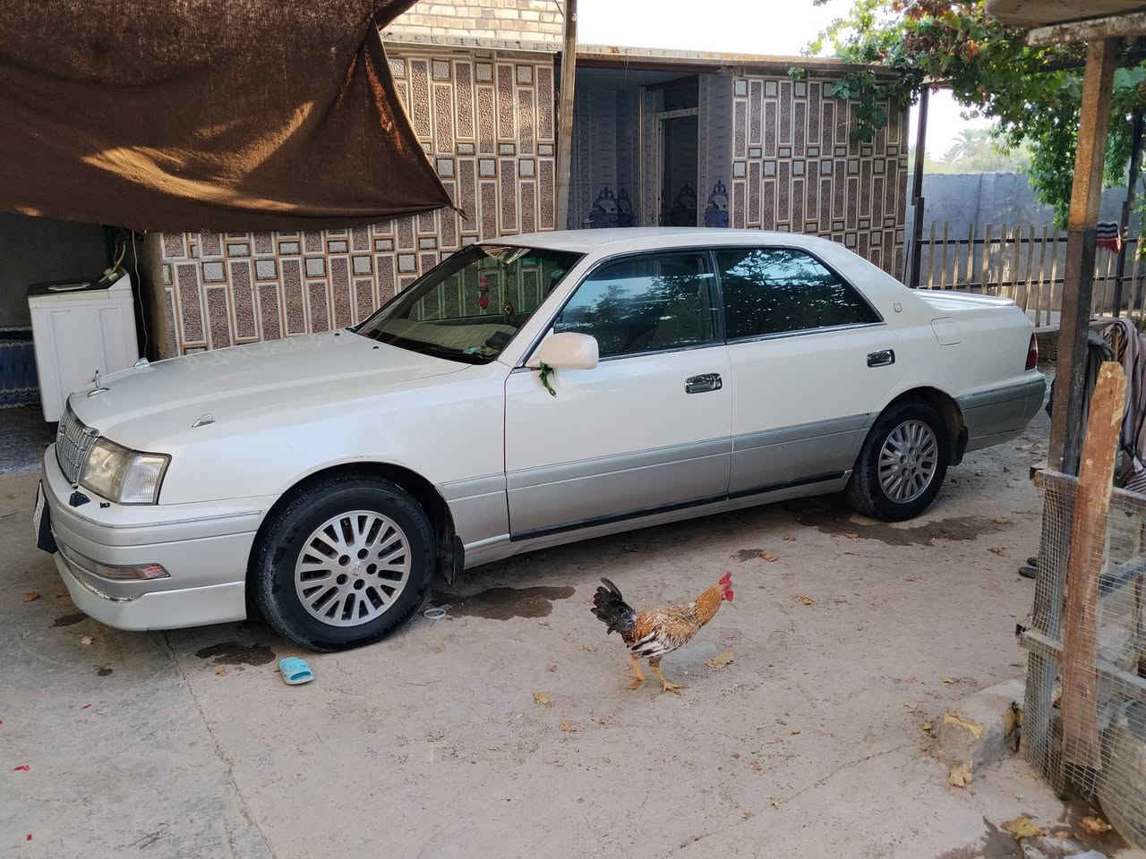 السلام عليكم راس الثور للبيع سياره مكفوله كفاله عامه سياره باسمنا مكفوله من الضربه من الصبغ والقص سياره جاهزه وحلوه المكينه 2500 تفاصيل اكثر على رقم صاحبها اني مكلف بالنشر‏‪***********‬‏العنوان بابل الهاشميه
