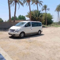 كربلاء المقدسة • الخميس • كوستر ستاركس