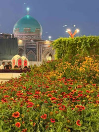 إيران • قم ومشهد • ١١ يوم