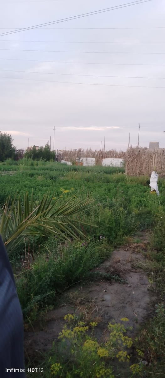 مزرعه نص دونم وبيها زياده يعني 1350متر وجه 33 ونزال 45  بحي جودين نزله ثانيه. بسعر 15 مليون بيها مجال  ***********

نص مكتوب في الصور:
- Infinix HOT 12